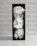 Skull Book Nook