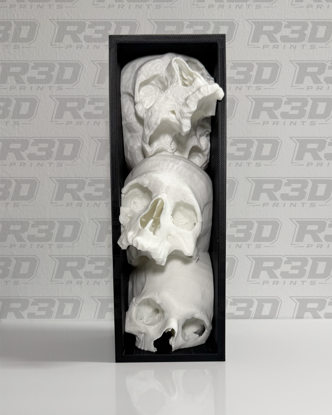 Skull Book Nook